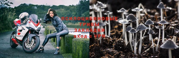 mix Армянск