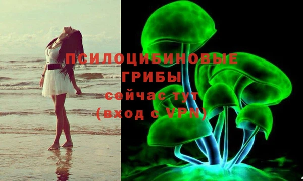 ALPHA PVP Арсеньев